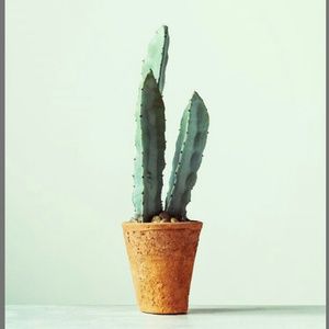 Faux Cactus in Terra-Cotta Color Cement Pot